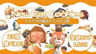 【ポケ森】7年間集大成！ドミグラ新クッキー23個食べてキャンプ場レイアウト！