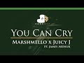 Marshmello x Juicy J - You Can Cry (Ft. James Arthur) - LOWER Key (Piano Karaoke / Sing Along)
