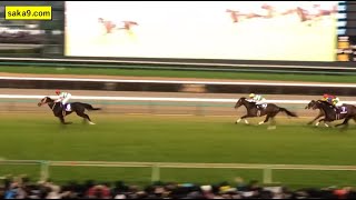 リスグラシュー 有終の美 2019 有馬記念 中山競馬場 現地撮影/現地映像（長編 ターフビジョン動画〜レース後の引き上げ）