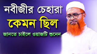 নবীজীর চেহারা মুবারক কেমন ছিল জানতে চাইলে ওয়াজটি শুনেন। জিব্রাঈল (আঃ) এর রর্ণনায়। খুরশিদ আলম কাসেমী