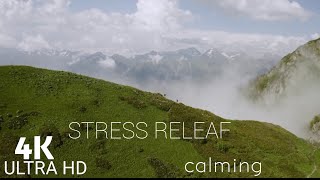 4K Forest Stream | Relaxing River Sound |Ultra HD Nature Video | Relax Sleep Study