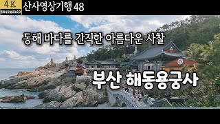 동해 바닷가 해동용궁사|우리나라에서 아름다운 사찰|부산의 명소|우리나라 관음성지|소원성취| 산사영상기행48