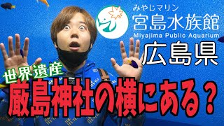 [世界遺産のお隣？]スナメリでお馴染み？広島県の宮島水族館へ！厳島神社の横にある水族館 /Hiroshima Miyajima