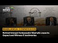 Madlanga Commission | Retired Interpol Ambassador Mashaile unpacks Gopaul and Witness E testimonies