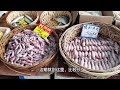 广州荔塱市场，三月中海鲜，品种够多够便宜 guangzhou lilong market march seafood variety and cheap