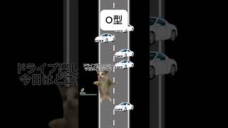 血液型別運転の特徴　#猫ミーム #車あるある #meme #tiktok教習所 #車好き #運転 #shorts