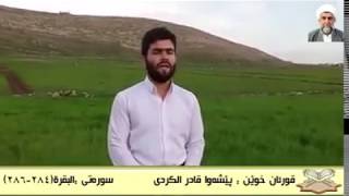 پيشەوا قادر الكردي خوێندنەوەیەکی کاریگەر