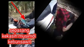 viral sepasang kekasih di grebek warga di kebun sawit