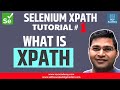 Selenium XPath Tutorial #1 - Introduction to XPath | Basic XPath Syntax