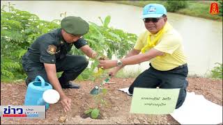 จิตอาสาพระราชทาน 904 วปร. ปลูกป่าเฉลิมพระเกียรติ เนื่องในโอกาสวันเฉลิมพระชนมพรรษา