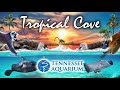 Zoo Tours: The Tropical Cove at the Tennessee Aquarium (2005)