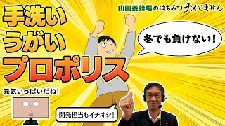 【冬のウイルス対策】山田養蜂場社員も実践 寒さに負けない身体づくり！サプリだけじゃない！色んなタイプのプロポリス！