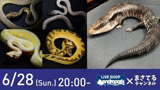 ［新入荷生体 カナダ便編］今回はいろいろ情報盛りだくさん！ LIVE SHOP デンドロパーク