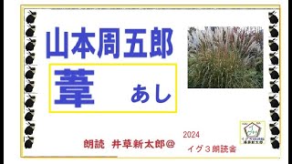 山本周五郎,,「葦,」,※朗読,,by,D.J.イグサ,井草新太郎,＠,イグ３,朗読舎，https://youtu.be/5Lcl3MsWowQ