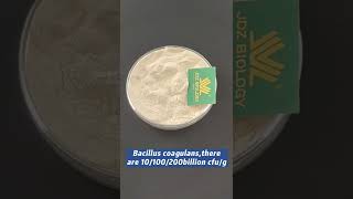 Top Quality Probiotic Bacillus Coagulans.