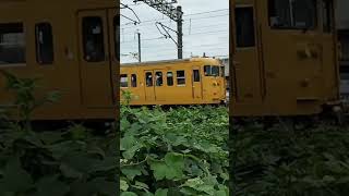 115系の黄色い列車　橋梁　山陽本線