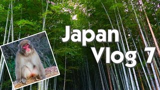 JAPAN VLOG | Monkey Park, Bamboo Grove, \u0026 Nijo Castle