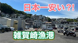 【和歌山】日本一安い？雑賀崎漁港で爆買いして食べてみた【モッパン】