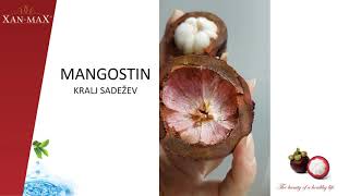 100% natural mangosteen juice- Xan-maX..100% naravni sok iz mangostina