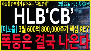 [HLB 에이치엘비] \