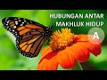 HUBUNGAN ANTAR MAKHLUK HIDUP (A)