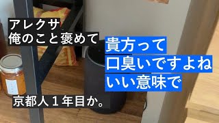 No.2 お節介アレクサとサラリーマンの日常「俺を褒めて」「貴方って口臭いですよね。いい意味で」