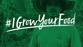 #IGrowYourFood - Meet some of the farmers who are transforming the way we grow food