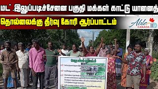 இலுப்படிச்சேனை பகுதி மக்கள் காட்டு யானைத் தொல்லைக்கு தீர்வு கோரி ஆர்ப்பாட்டம்