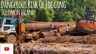 Kerja Logging di Kepulauan Solomon Island//Banyak Dugaan dan Cabaran//Loading dan Hauling//