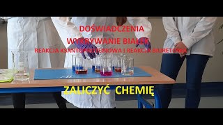 Wykrywanie białek - doświadczenia