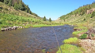 My Favorite Stream in COLORADO is AMAZING and still a hidden PARADISE  2-month road trip-part 5