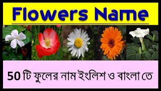 Flowers Name English With Bengali./Flowers Name With Picture/50 Flowers Name With Spelling