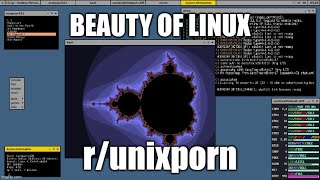 Best Linux Rice of 2022 - r/unixporn