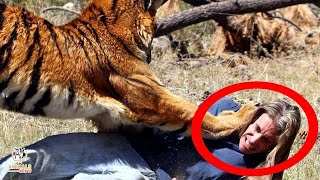 Top 10 Dumbest Zoo and Park Guests Caught On Camera - Wild Animal Attacks and Encounters