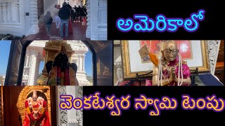 అమెరికాలో వెంకటేశ్వర స్వామి  టెంపుల్ #devotional #viral #trending #trend #viralvideo #youtubevideo