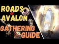 MUST HAVE GATHERING KNOWLEDGE For The Roads of Avalon - Naming System, Nodes, Mobs - Albion Online