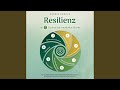 Kapitel 10.22 - Resilienz - Die 7 Säulen der mentalen Stärke: Wie du Stress abbaust und...