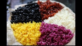 Comment faire du riz gluant coloré en cinq couleurs,壮族三月三五色糯米饭的做法,la fête du 3 mars de Zhuang