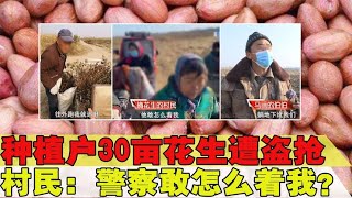 种植户30亩花生遭盗抢，一女子叫嚣：警察也不敢怎么着我！