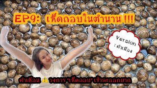 Ep 9 : How to ล้าง เห็ดถอบ หรือ เห็ด เผาะในตำนาน เข้า ครัว เผย วิธีล้างให้สะอาด #ล้าง #เห็ด