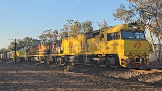 2PM1 Aurizon Superfreighter (ACD, GWU, G535), Perth to Melbourne, 2005, 22/1/25, Stawell VIC