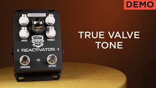 Revitalize Your Amp | Hagerman Reactivator Tube Overdrive