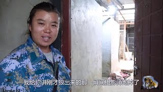 【我在新疆养狼】【野狼谷】8.  野狼偷跑出狼圈？狼谷摄影师宣称命要紧想罢工，这工作你敢干吗？