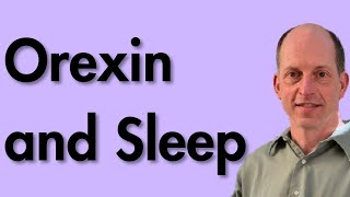 Orexin Blocking Sleep Medications - Why Are They So Special? (Belsomra - Dayvigo - Quviviq)