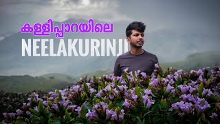 നീലകുറിഞ്ഞി കാണാം...| kallippara | idukki | vascodansvlog #kallippara #vascodans #travel