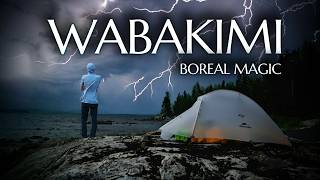 8 Days Alone in the Boreal Forest  | WABAKIMI