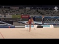 2015 australian gymnastics championships team gymnsw sessions 27 29