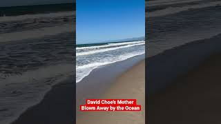 David Choe's Mother Blown Away by the Ocean #davidchoe #choeshow #joerogan #jre #podcast #art #sea