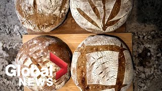 Coronavirus outbreak: The bread making and baking boom while in quarantine