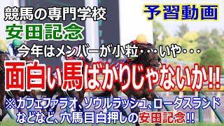 【競馬】安田記念2022 予習動画 条件合えば馬券圏内ありそうな穴馬【競馬の専門学校】